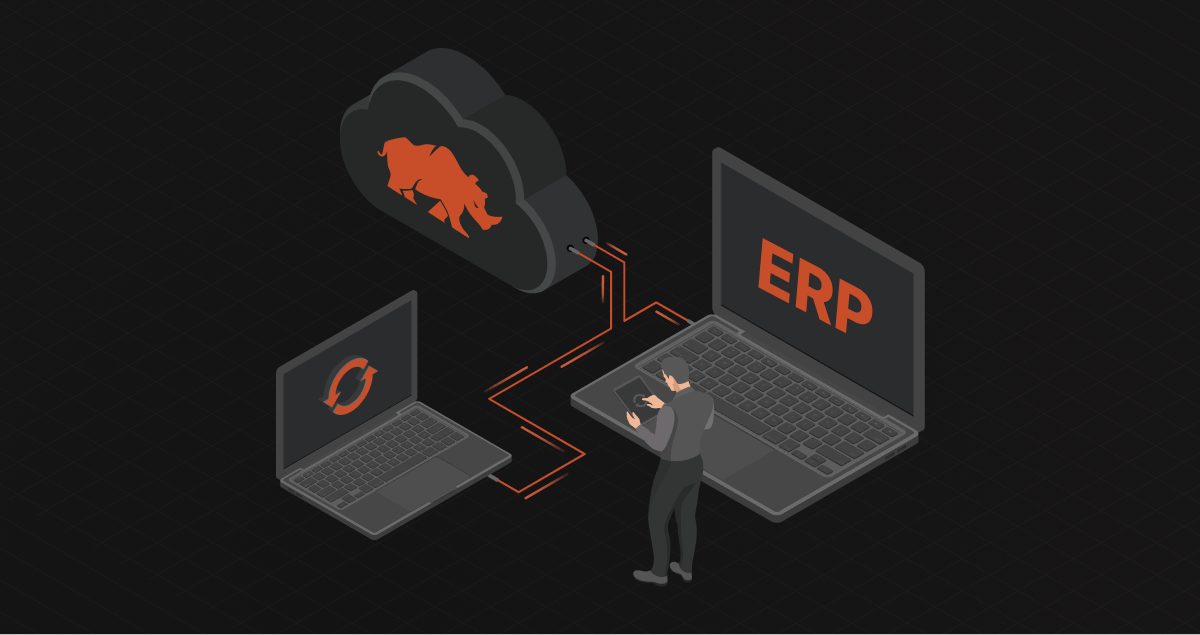 ERP Integration services